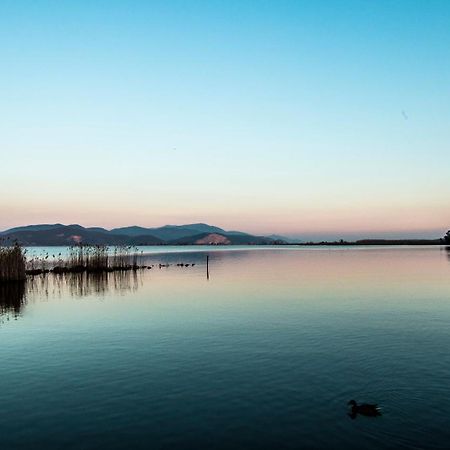 Hotel Butterfly Torre del Lago Puccini Eksteriør bilde