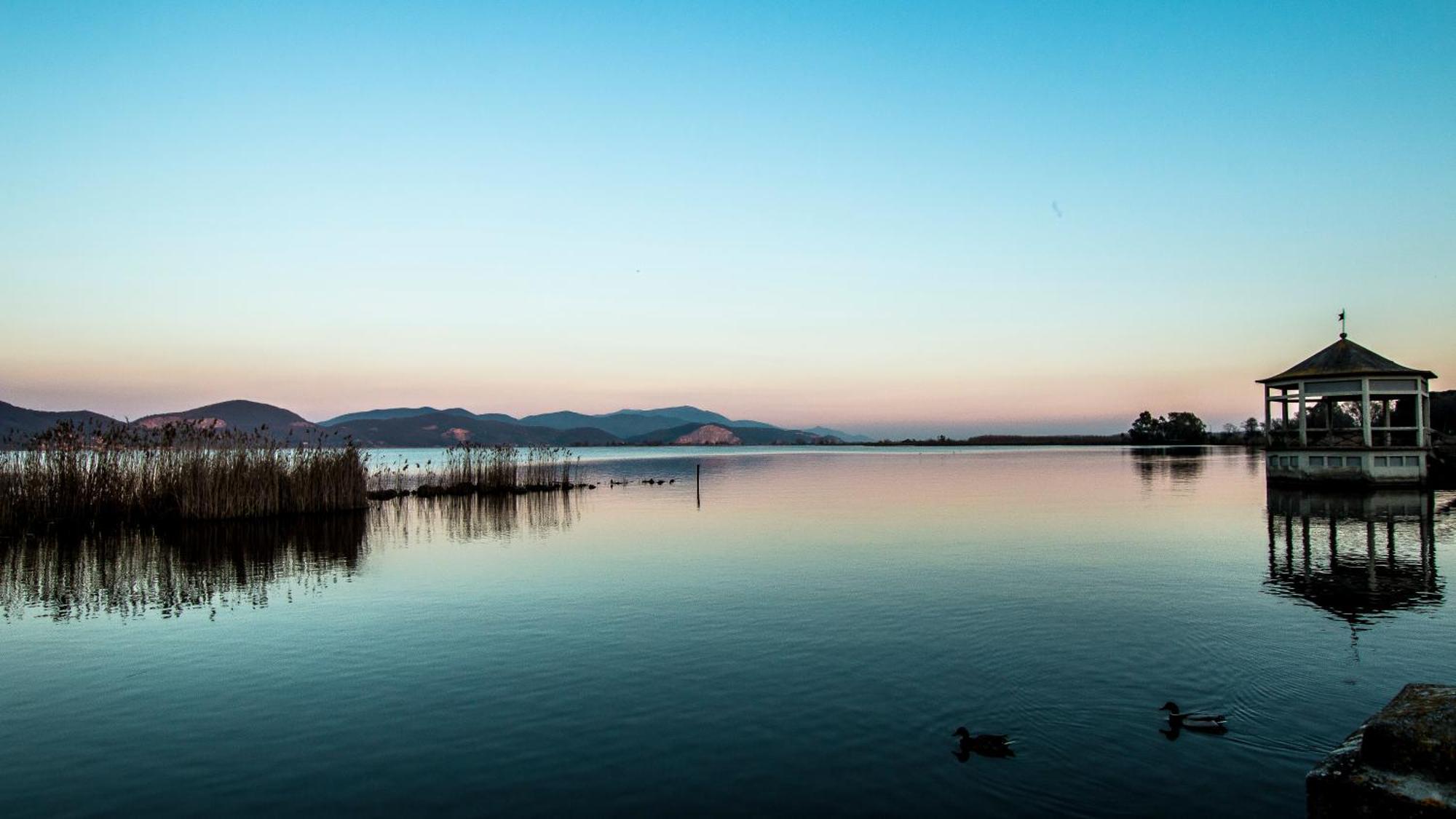 Hotel Butterfly Torre del Lago Puccini Eksteriør bilde